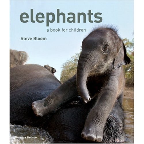 elephantsabookforchildren elephantsabookforchildren
